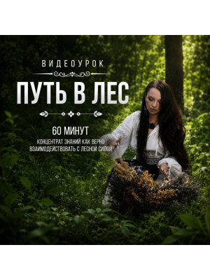Урок «Путь в Лес»