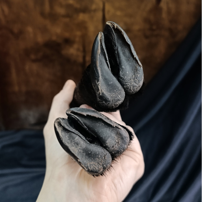 Ритуальный серп с козлиными ногами